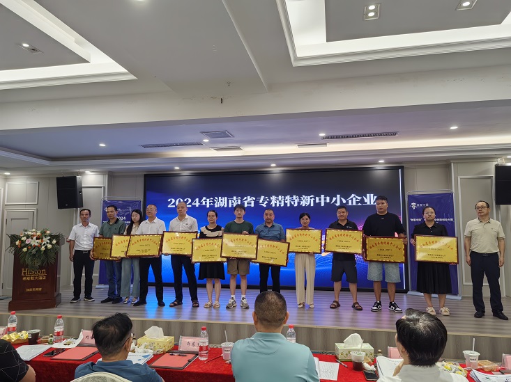 专精特新6