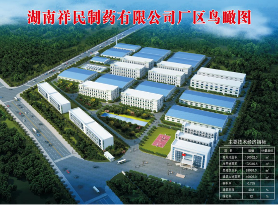 湖南祥民制药有限公司