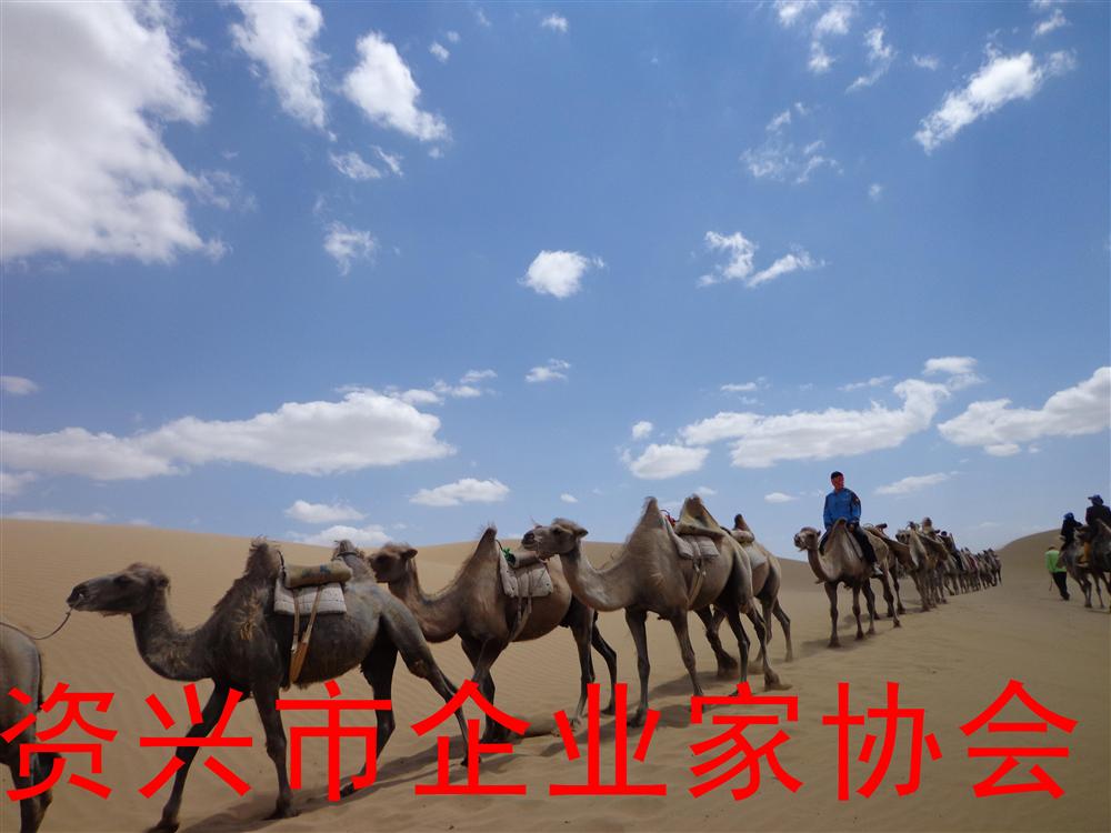 资兴市企业家协会