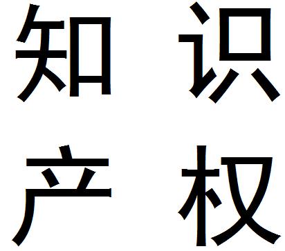 知识产权保护