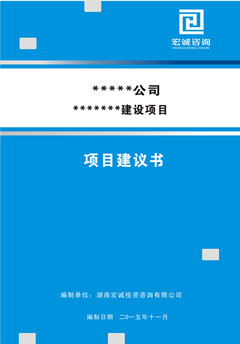 项目建议书