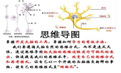 思维导图训练营