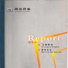 年度审计报告