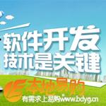 软件开发