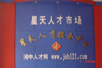 政策咨询服务