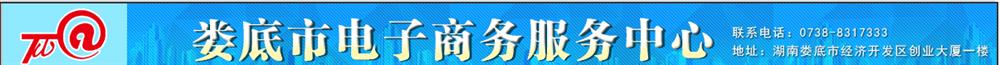 娄底电子商务网络有限公司