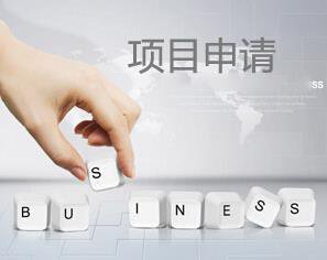 项目申报服务