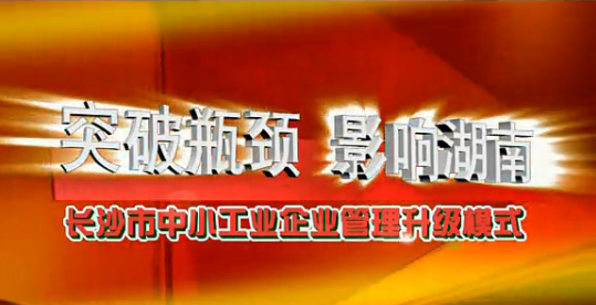 企业发展瓶颈分析