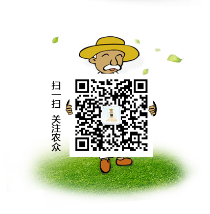 农众移动互联网推广解决方案