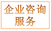企业咨询服务