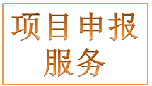 项目申报服务