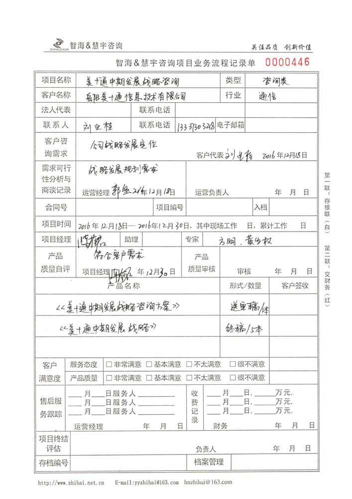 美十通中期发展战略咨询