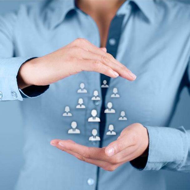 人力资源法律服务