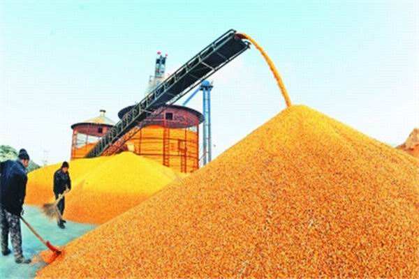 粮油收购、加工