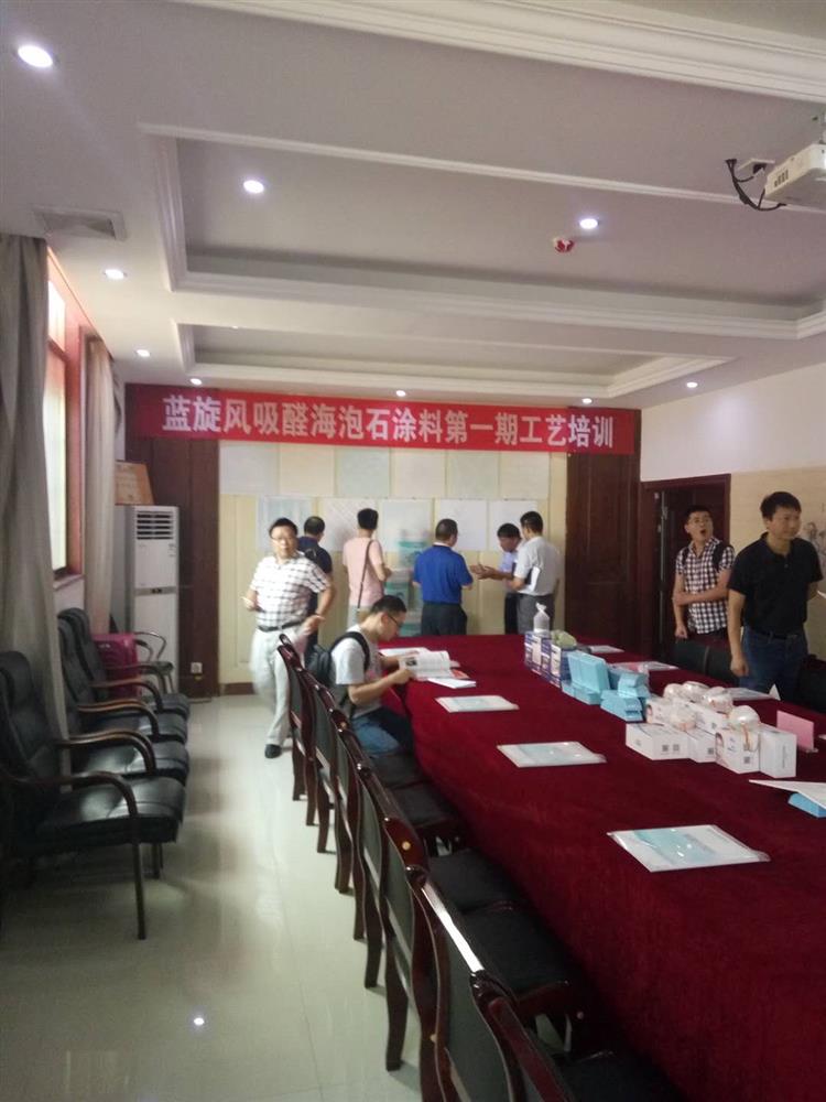 蓝旋风吸醛海泡石涂料第一期工艺培训