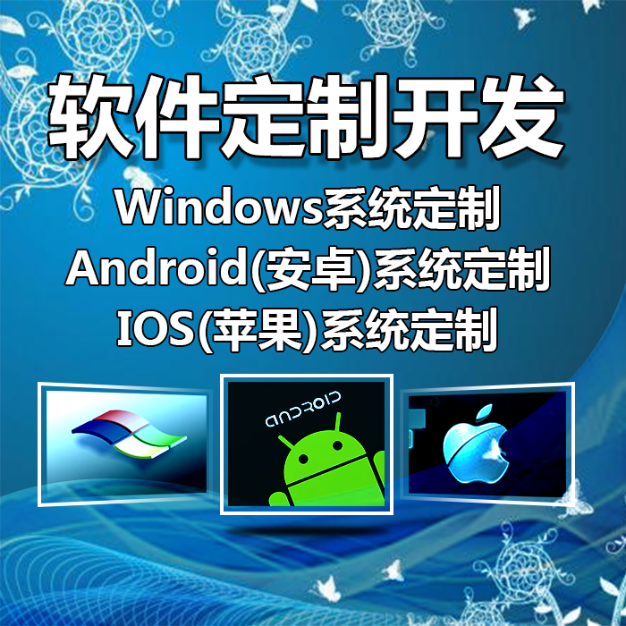 软件开发