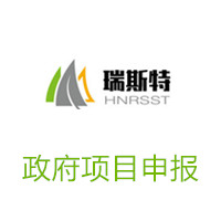 政府项目申报
