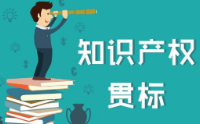 知识产权管理体系认证（贯标）指导