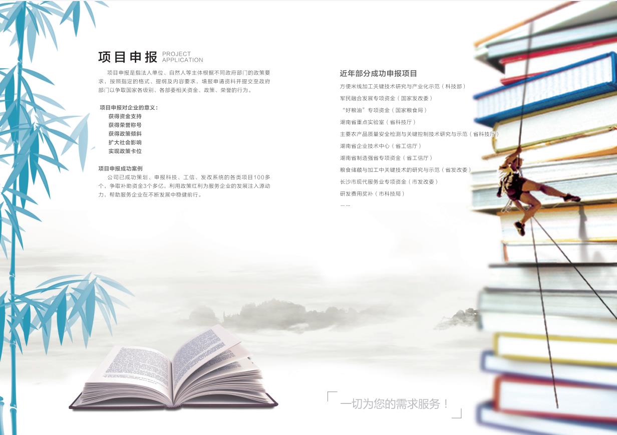 项目申报