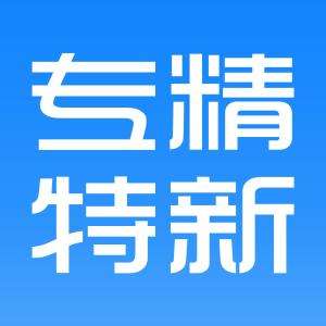 2021年湖南省专精特新“小巨人”企业培育申报