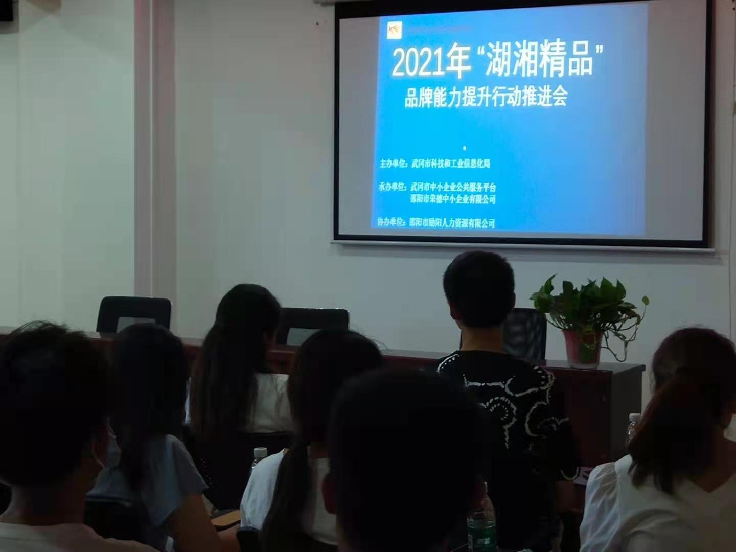武冈市“湖湘精品”中小企业品牌能力提升行动推进会