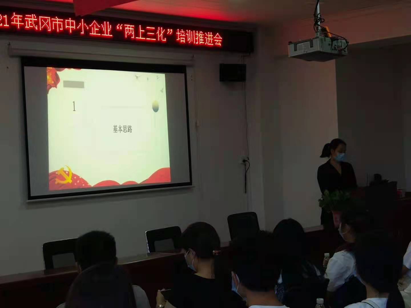 武冈市中小企业“两上三化”培训会