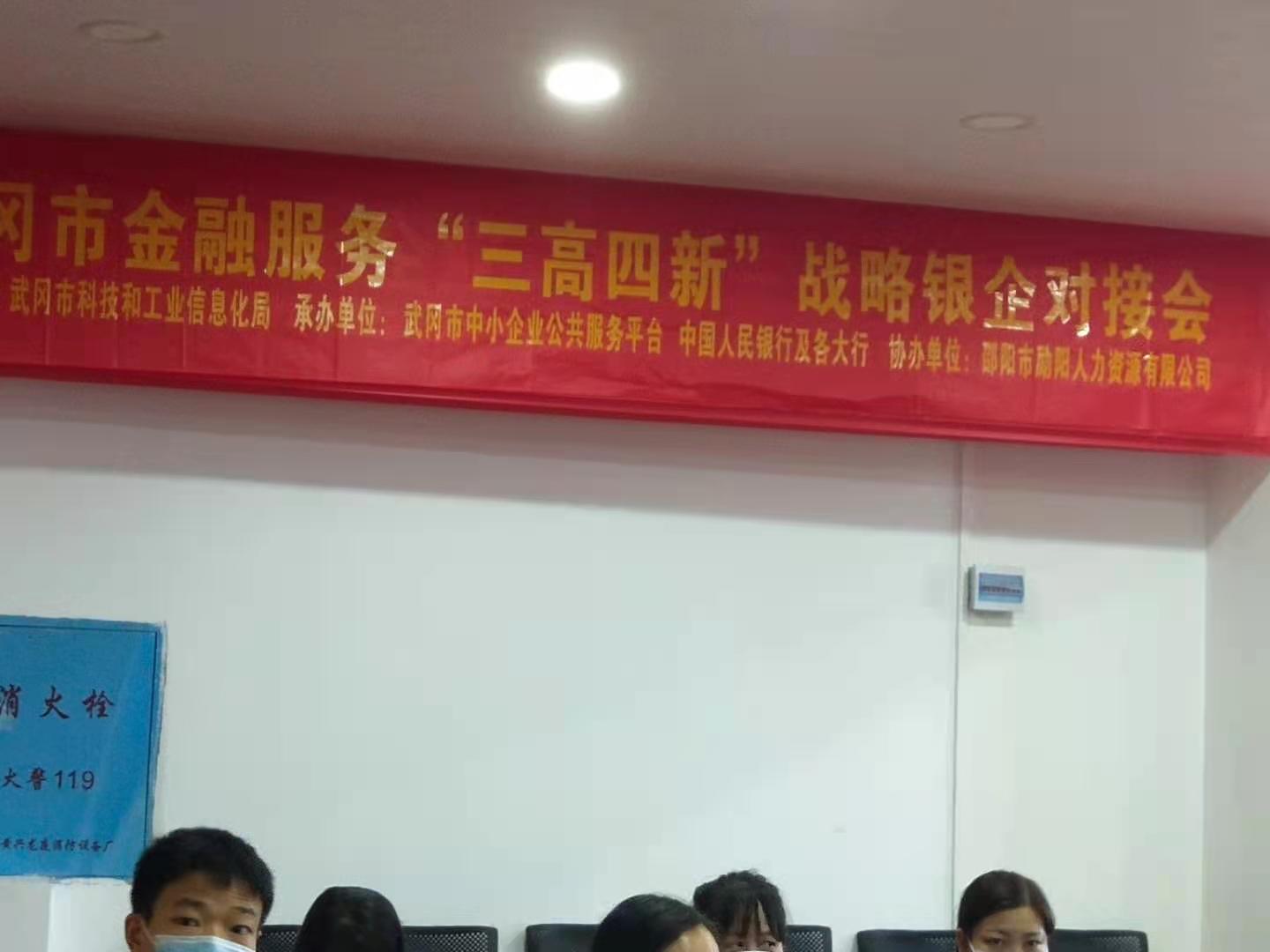武冈市金融服务“三高四新”战略银企对接会