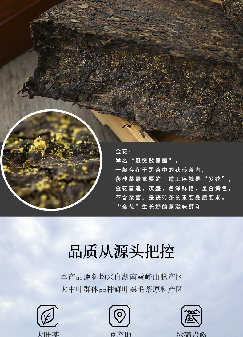 湖南安化县金峰茶叶有限公司
