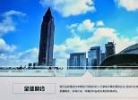 湖南上药中药材发展有限公司（1）