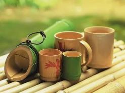 安化起点竹制品有限公司（1）