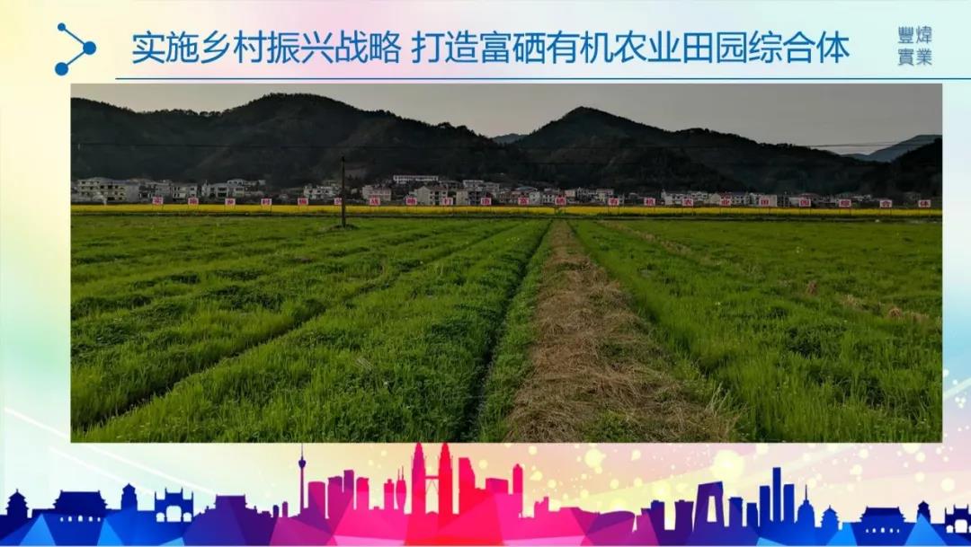 湖南省丰炜实业有限责任公司（1）