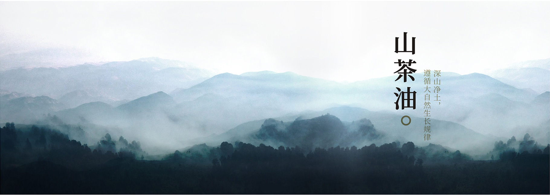 湖南金叶油业有限公司(1)