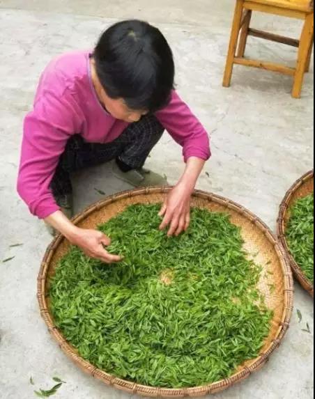 安化县渠之源茶业有限公司(1)