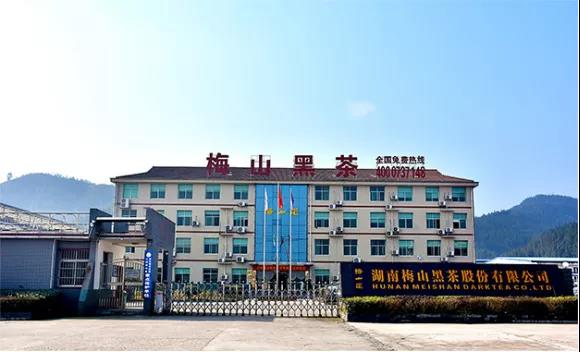 湖南梅山黑茶有限公司