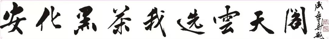 安化县云天阁茶业有限公司（1）