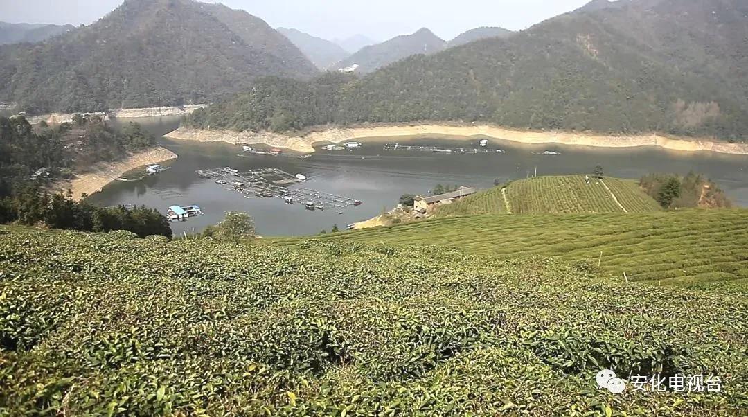 湖南省高马山农业有限公司（1）