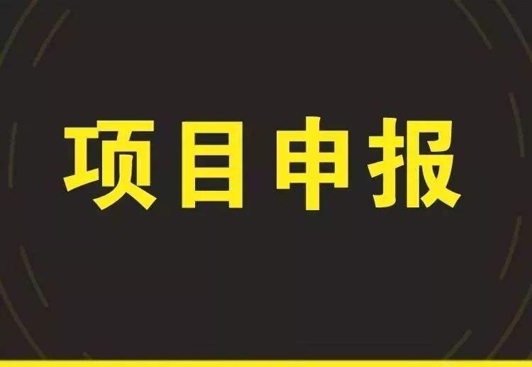 企业项目申报辅导
