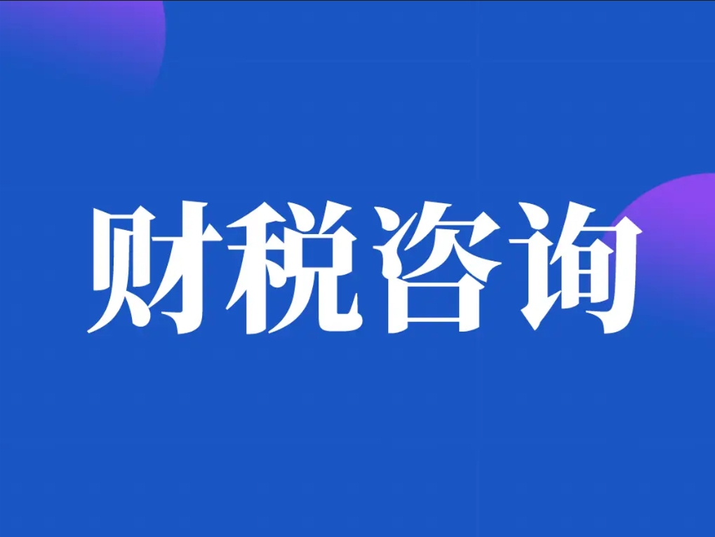 财税咨询服务