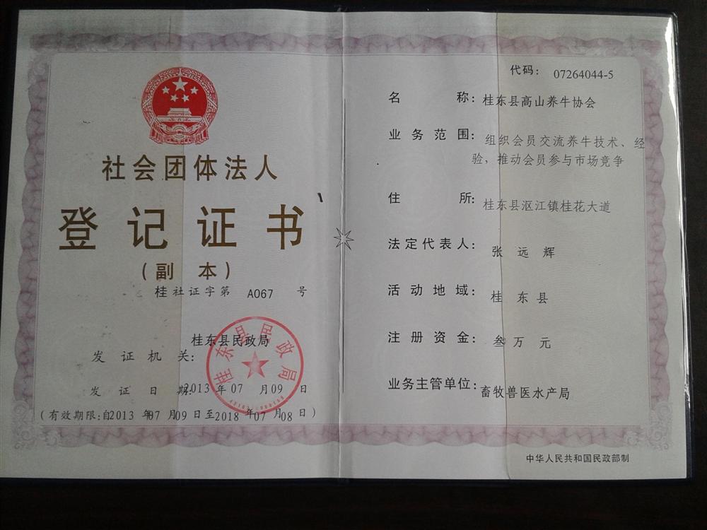 @service.objMain.ORG_NAME