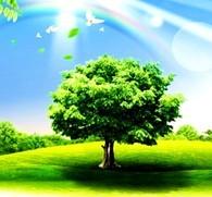 @service.objMain.ORG_NAME