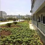 @service.objMain.ORG_NAME