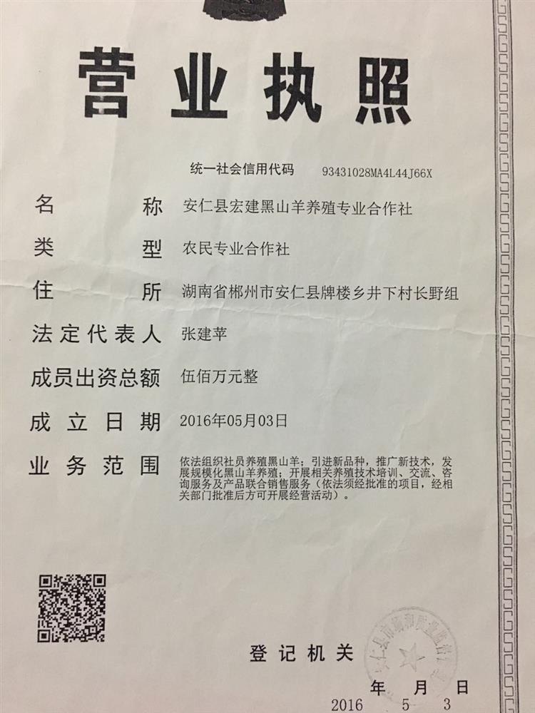 @service.objMain.ORG_NAME