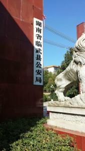 @service.objMain.ORG_NAME