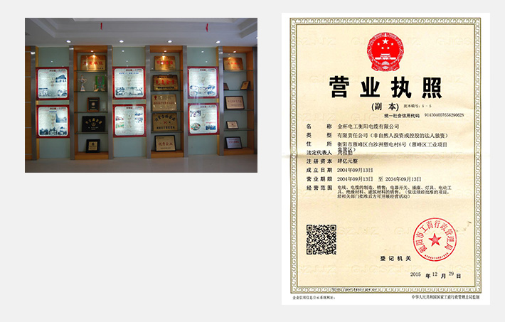 @service.objMain.ORG_NAME