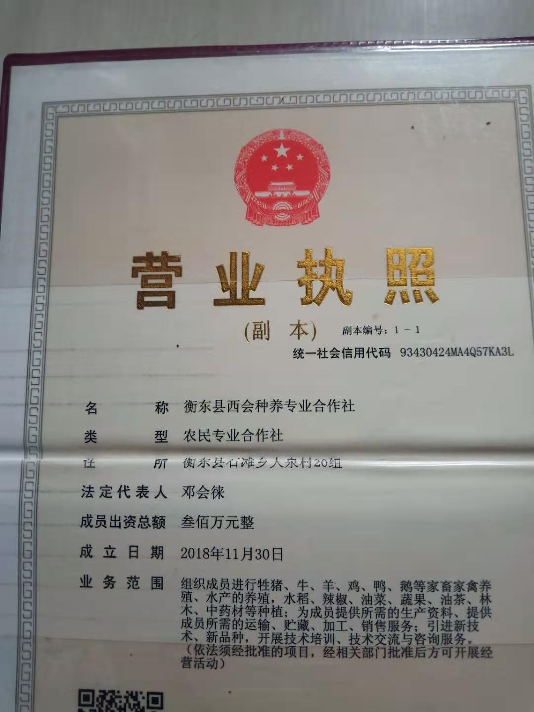 @service.objMain.ORG_NAME