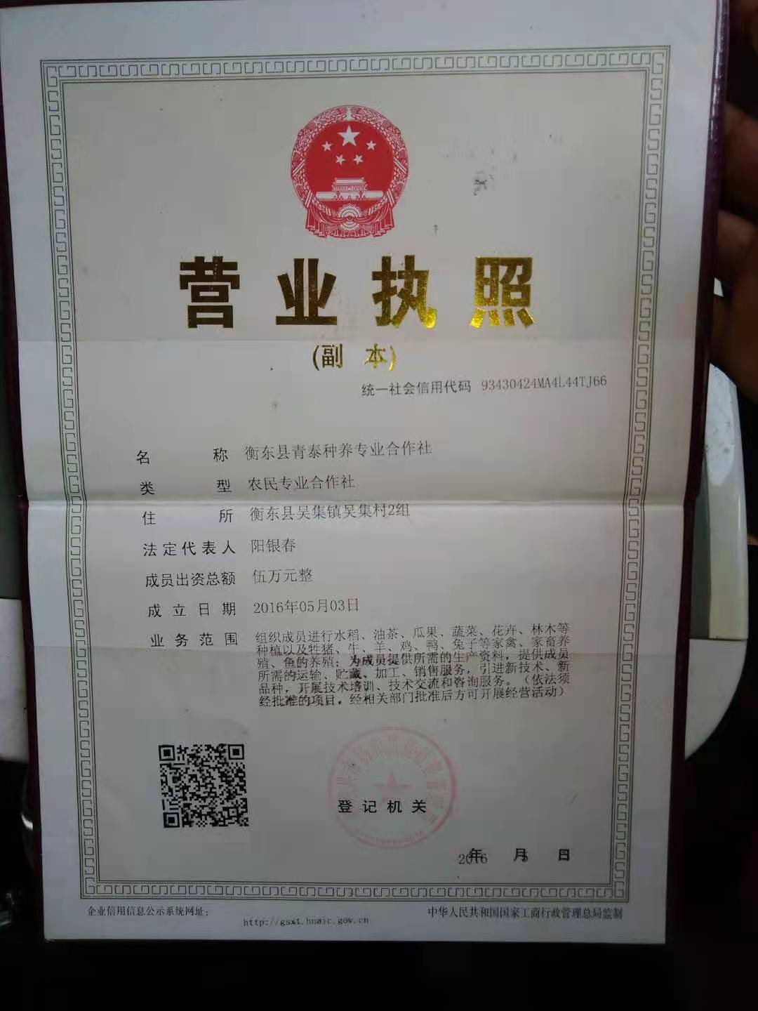 @service.objMain.ORG_NAME
