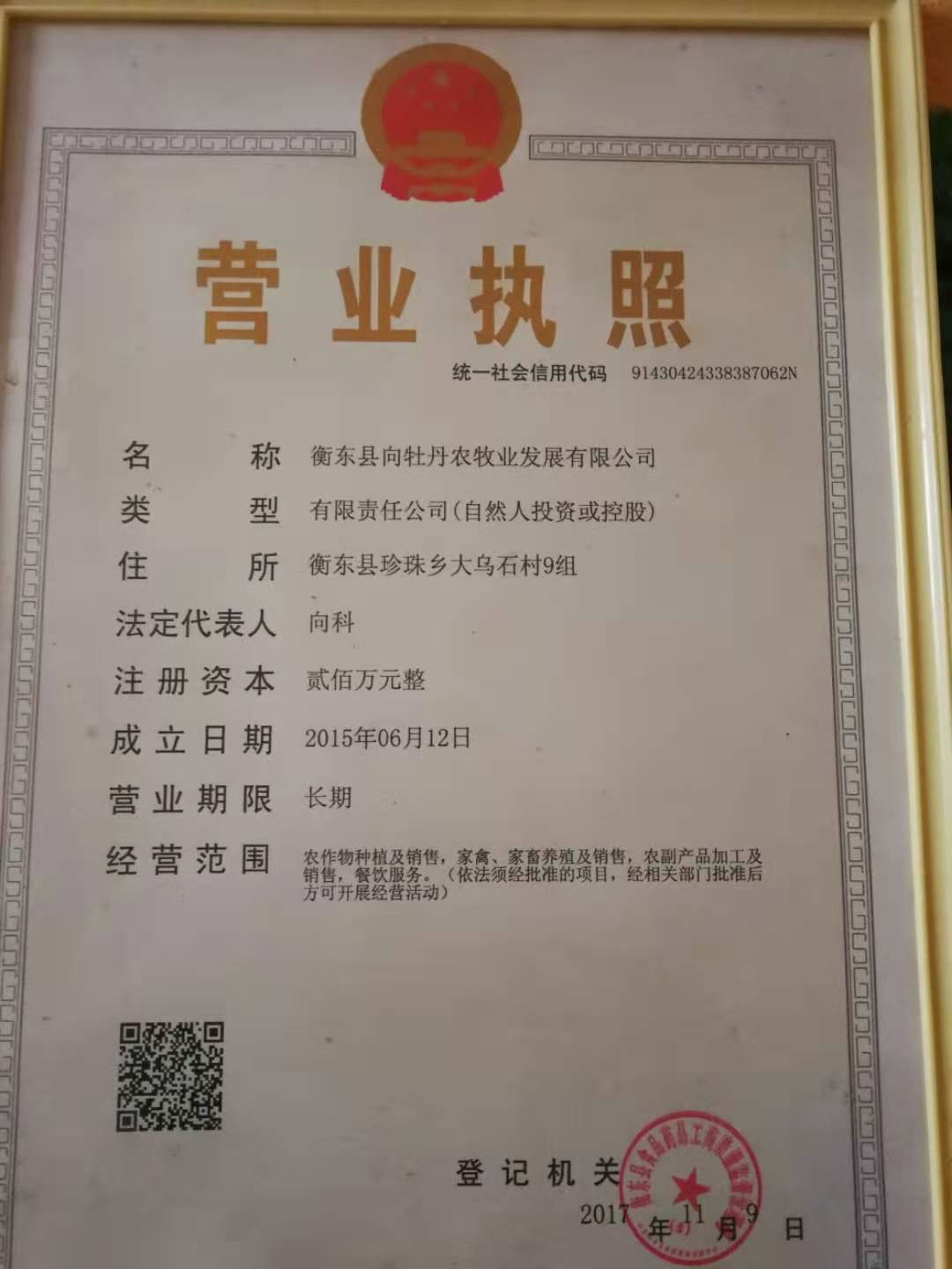 @service.objMain.ORG_NAME