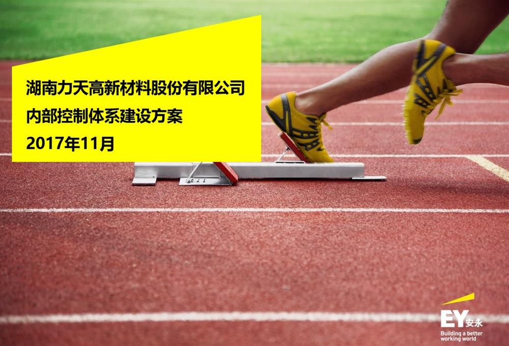 某高新材料公司IPO内控咨询服务项目
