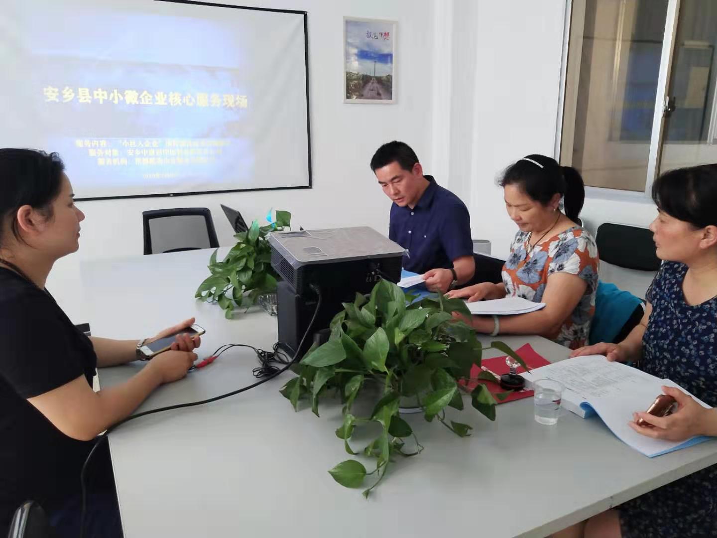 为安乡中意彩印包装有限责任公司提供“小巨人”项目咨询服务