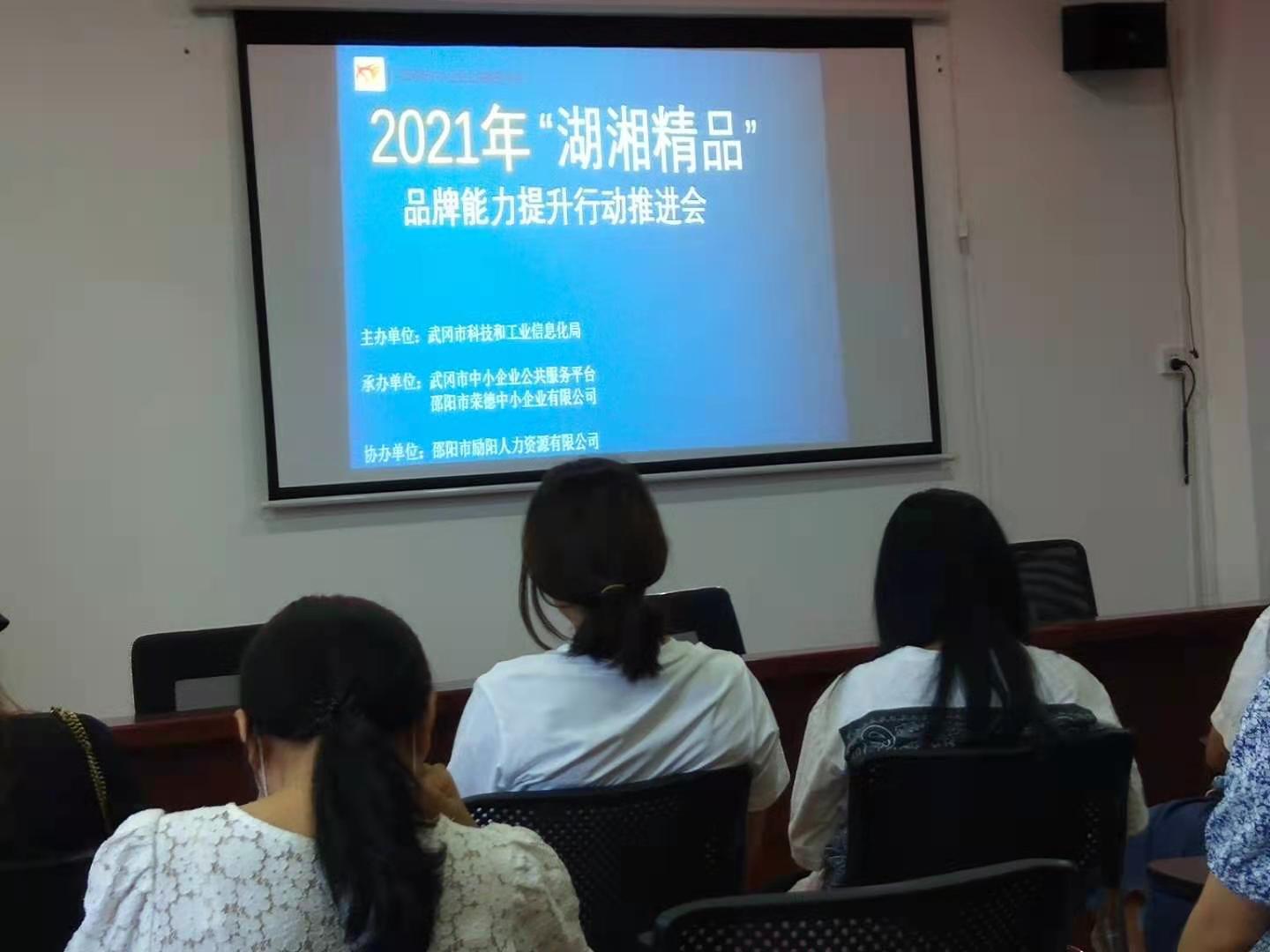 武冈市“湖湘精品”中小企业品牌能力提升行动推进会